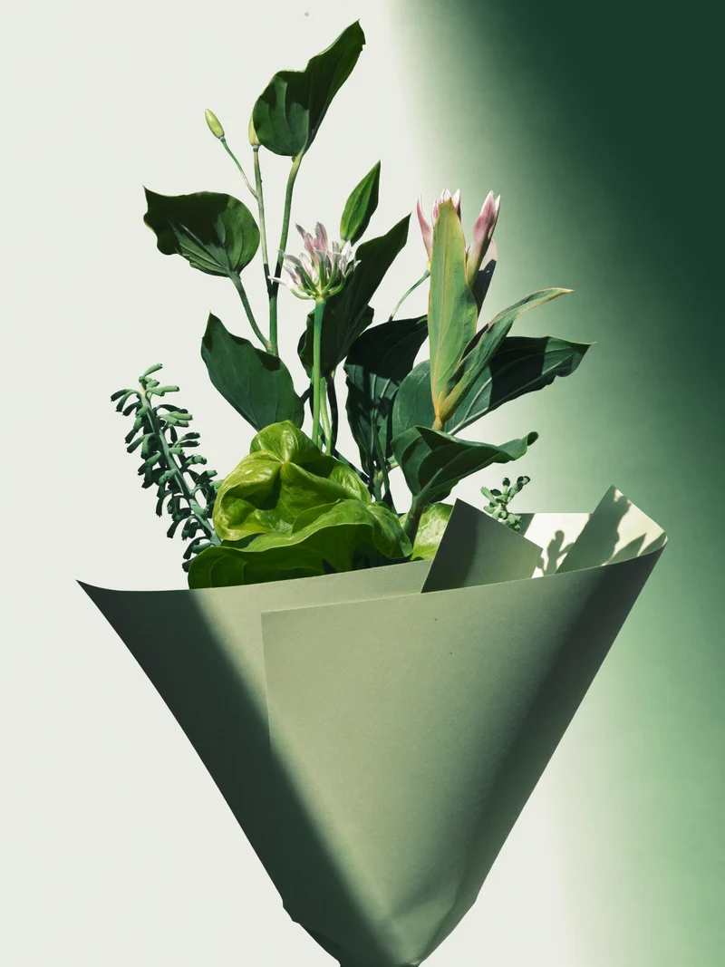 Illustrazione concettuale: bouquet stagionale con confezione asimmetrica.